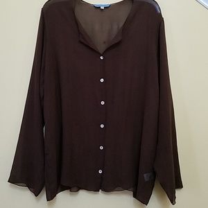 Johnny Was sheer silk blouse